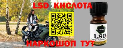 сатива Кохма