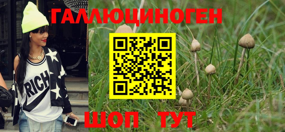 где можно купить   Псилоцибиновые грибы ЛСД  Вход с VPN  Губаха  Псилоцибиновые грибы MAGIC MUSHROOMS 
